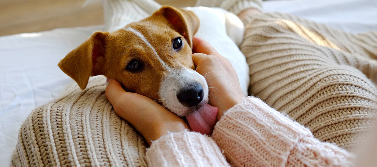 Pet-Friendly