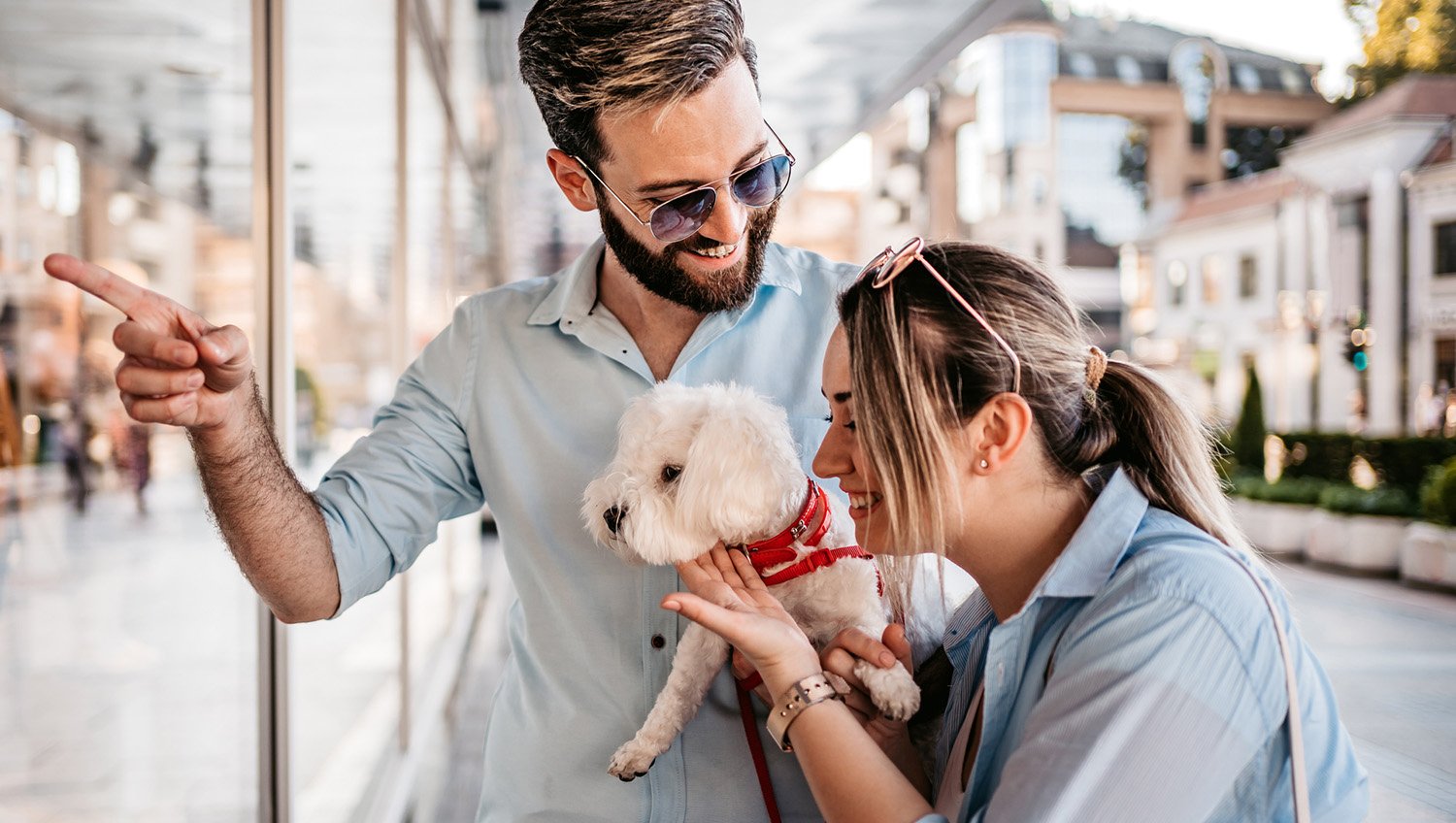 PetFriendly Hotel in Carlsbad, CA West Inn & Suites